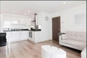 Purple Layers Apartment Canning Town